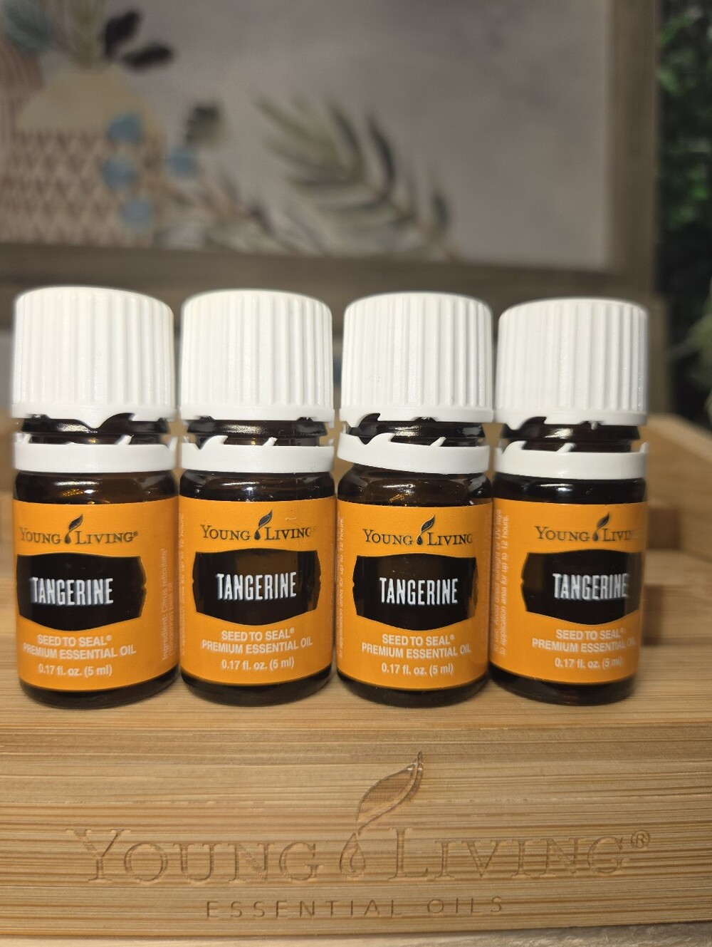Young Living 4‎ Tangerine Bundle 5ml